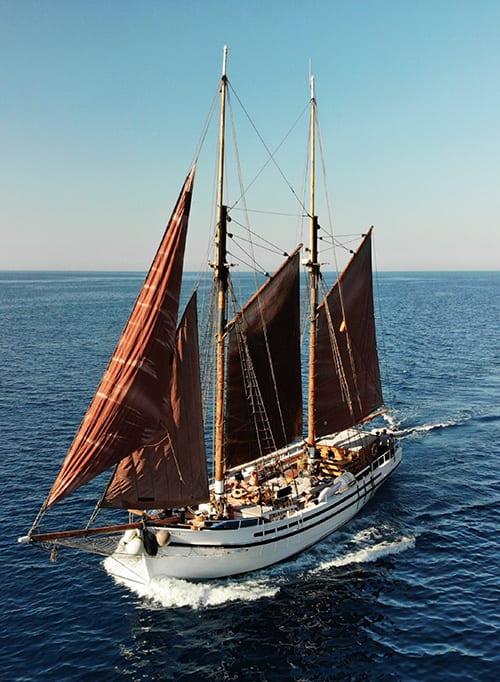 Saga 78