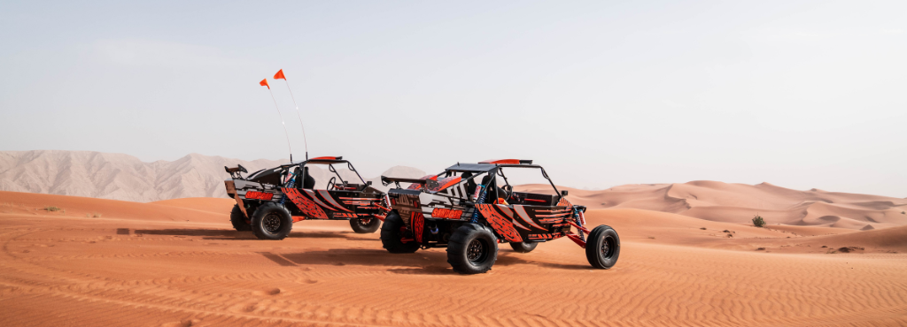 Dune Buggy Safari